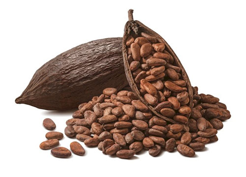 Cacao Beans