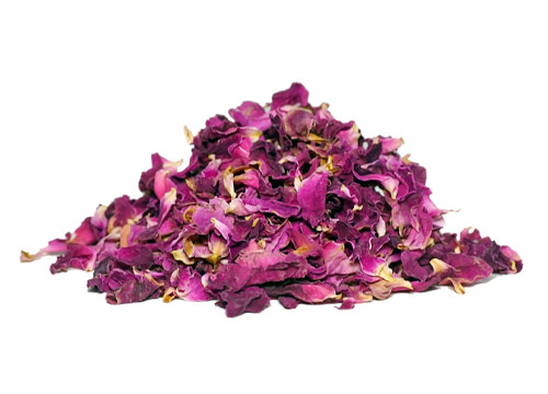 Rosa Damascena