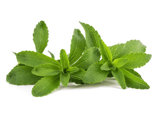 Unprocessed stevia